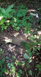 Horinchovo-tstone-075