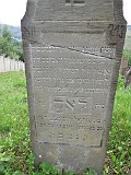 DSCN8082