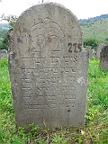 DSCN8105