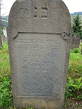 DSCN8113