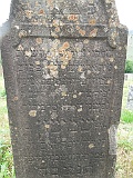 DSCN8129