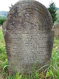 DSCN8137