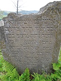 DSCN8177