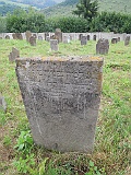 DSCN8181