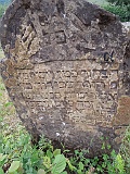 DSCN8195