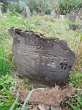 DSCN8203