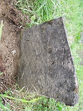 DSCN8207