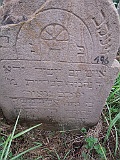 DSCN8209