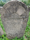 DSCN8236