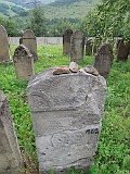 DSCN8257