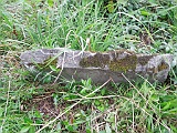 DSCN8286