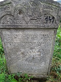 DSCN8287