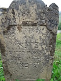DSCN8301