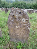 DSCN8377