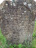 DSCN8383