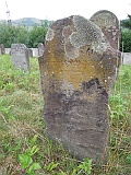DSCN8390