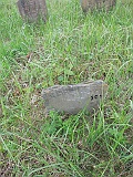 DSCN8393