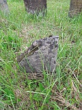DSCN8397