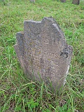 DSCN8421