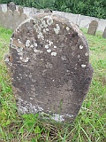 DSCN8428