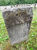 DSCN8497