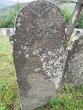 DSCN8502