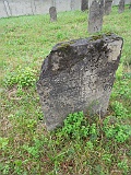 DSCN8522