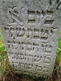DSCN8528