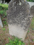 DSCN8532