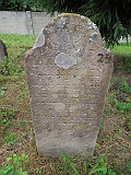 DSCN8538