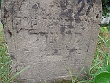 DSCN8543