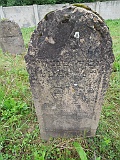 DSCN8580