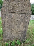 DSCN8595