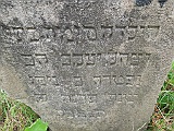 DSCN8601