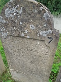 DSCN8627