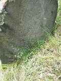 Ilnytsia-Old-tstone-023
