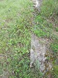 Ilnytsia-Old-tstone-100