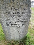 Ilnytsia-Old-tstone-156