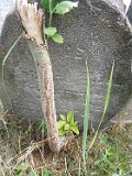 Ilnytsia-Old-tstone-243