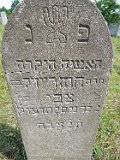 Ilnytsia-Old-tstone-458