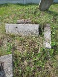 Ilnytsia-Old-tstone-463