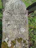 Ilnytsia-Old-tstone-554