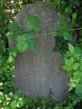 Imstychovo-tombstone-009