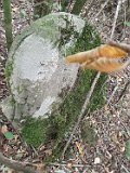 Kalnyk-tombstone-02