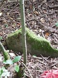 Kalnyk-tombstone-06