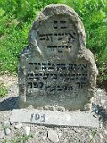 Kaliny-tstone-193