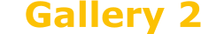 Gallery 2