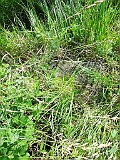 Khust-1-tombstone-renamed-0567