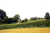 WIELOPOLE Cemetery - Side View.jpg (46290 bytes)