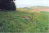 Kanczuga12.jpg (99027 bytes)
